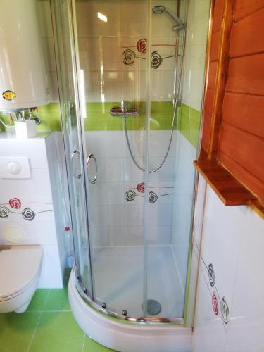 a shower in a bathroom with a toilet at Domki letniskowe Wisełka in Wisełka