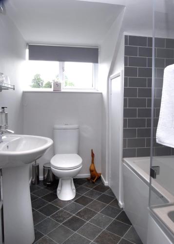 a bathroom with a toilet and a sink and a tub at The George at Nunney in Frome