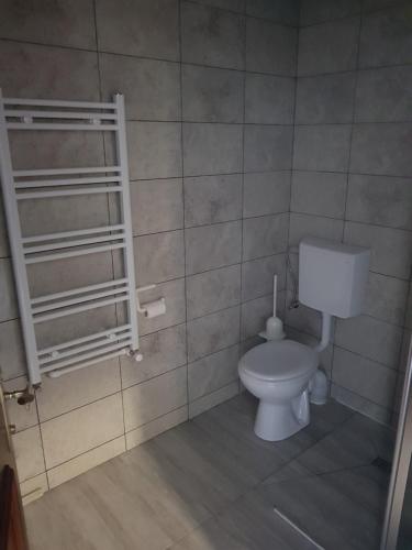 La salle de bains est pourvue de toilettes blanches. dans l'établissement Portul Dunarii, à Hîrşova