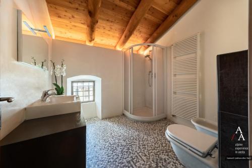 a bathroom with a shower and a sink and a toilet at Alp Apartments SKI & BIKE - Tourneuve5 in Aosta