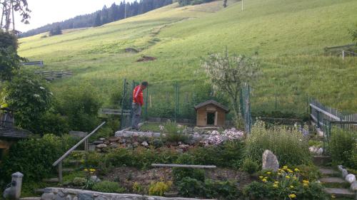 a man standing in a garden with a dog house at Ferienwohnung Spitaler Unterkofler in Hippach