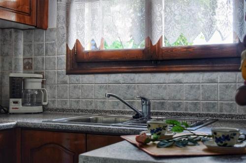 a kitchen counter with a sink and a window at The House with the Hydrangeas in Elati Trikalon
