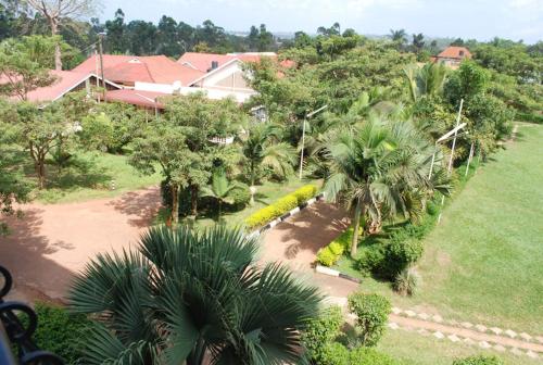 坎帕拉的住宿－Rest Gardens Ltd，享有棕榈树花园的空中景致