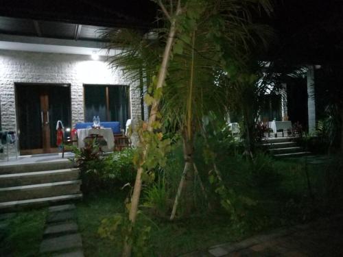 a palm tree in the yard of a house at Pier26 Bali Homestay in Nusa Dua