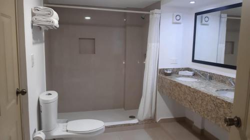 Kupatilo u objektu Hotel Plaza del Sol