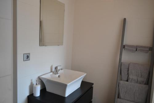 uma casa de banho com um lavatório branco e um espelho. em bed en breakfast Floris em Wallenborn