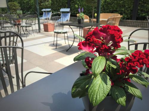 a vase filled with red flowers sitting on a table at The Regency Sure Hotel Collection by Best Western in Lissone