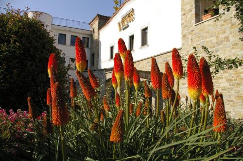 a group of red flowers in front of a building at Hotel Villa Venus Resort & SPA in Atena Lucana