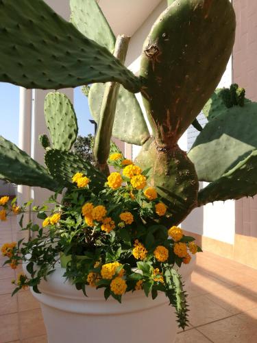 a large white pot filled with plants and flowers at IsolaAzzurra in Monopoli