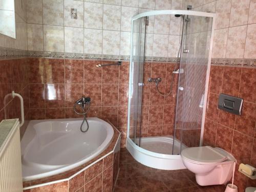 uma casa de banho com uma banheira, um WC e um chuveiro em Green Park Apartment em Hévíz