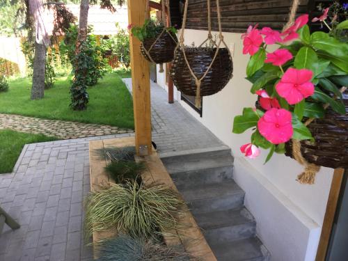 a stairway with potted plants and flowers in baskets at Modern Apartman Deluxe in Alsóörs