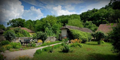 Rogljevo的住宿－Country house Dunjin Konak，一座种有鲜花、桌子和房子的花园