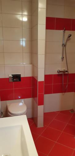 baño rojo y blanco con aseo y ducha en Casa Martin, en Porumbacu de Sus