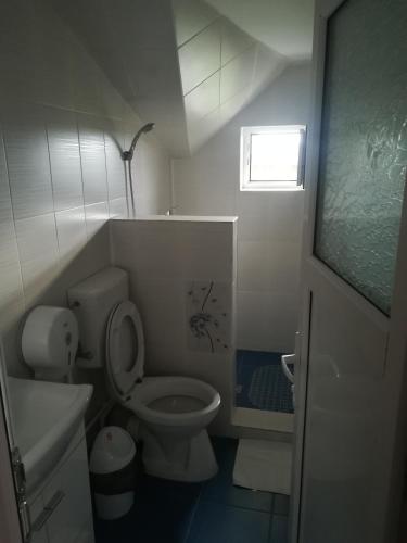 a small bathroom with a toilet and a sink at Vila Andre in 2 Mai