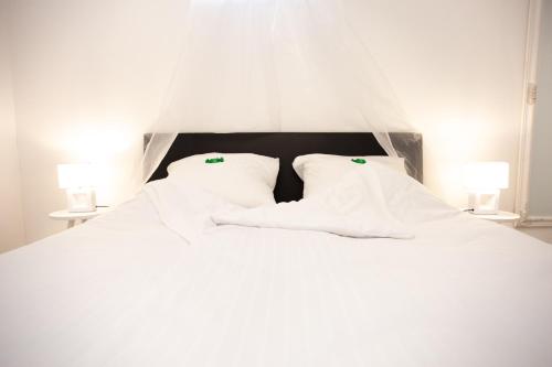 מיטה או מיטות בחדר ב-Villa Hillside Apartment