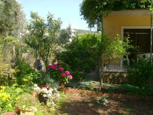 Lefkas house with garden