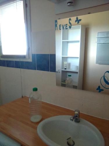 une salle de bain avec un lavabo et un miroir dans l'établissement Domaine des cigales, gîte Les cèdres, à Saint-Martin-dʼAoût