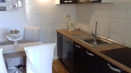 une petite cuisine avec un évier et un comptoir dans l'établissement Apartment Mime Blata, à Vodice