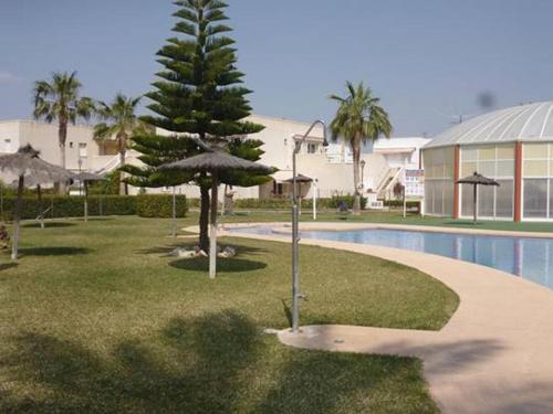 a palm tree and an umbrella next to a pool at Bahía de Vera Apartamento Hibiscus in Vera