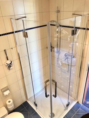 a shower with a glass door in a bathroom at Ferienwohnung Seeblick - Insel Usedom in Balm
