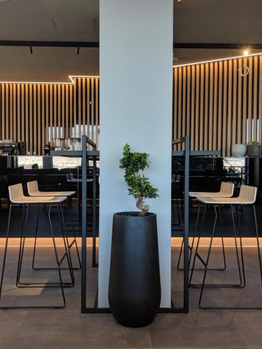 a potted plant sitting on a table in a restaurant at The Alex Monte Kastella, Santikos Collection in Piraeus