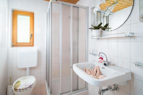 bagno con lavandino, servizi igienici e specchio di Naturkräuterhaus Eder a Iselsberg