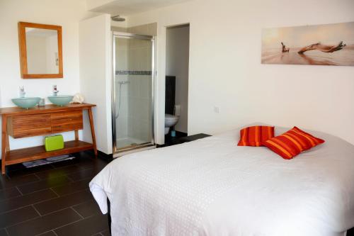 een slaapkamer met een bed en een badkamer met een douche bij Villa ZEN in Saint-Laurent-du-Var