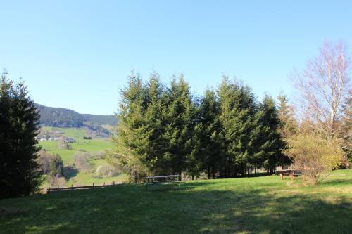 einen grasbewachsenen Hügel mit Bäumen und Bänken auf einem Feld in der Unterkunft Gîte Les Jonquilles in Le Bonhomme