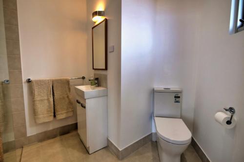 La salle de bains est pourvue de toilettes, d'un lavabo et d'un miroir. dans l'établissement Cloudscape Apartment No 2, à Kingscote