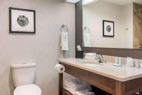 a bathroom with a sink and a toilet and a mirror at Quality Hotel in Clarenville