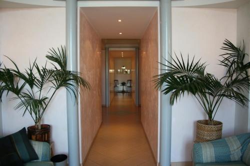 a corridor with two plants in a hallway at Hotel Castello in Mesagne