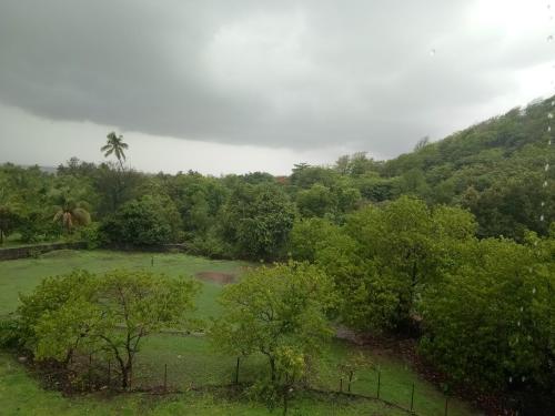 a view of a field with trees and a palm tree at Shreyas Guest house - Tatkare Villa in Kashid