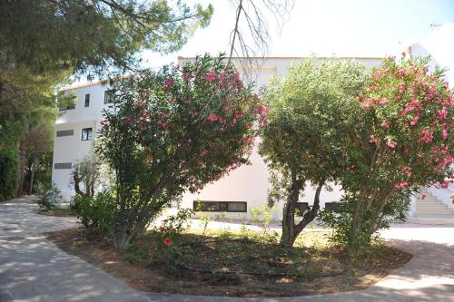 two trees in front of a white building with pink flowers at Niki Hotel Apartments in Ialyssos