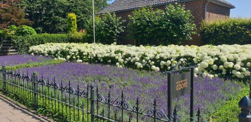 a garden with white and purple flowers and a fence at Bed & Breakfast Coopz in Doetinchem