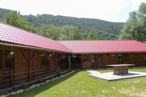 a house with a red roof with a picnic table in the yard at PENSIUNEA LA BUSU -BIGAR in Bozovici