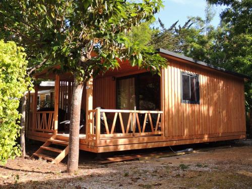 里夫杜海滩Camping 4 étoiles Les Fougères的小木屋设有门廊和一棵树