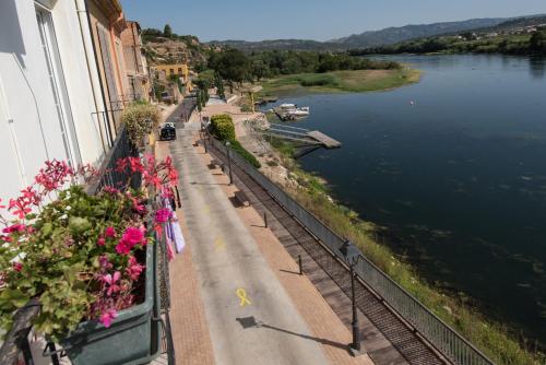 a view of a river from a balcony with flowers at River Ebro Apartments in Móra d'Ebre