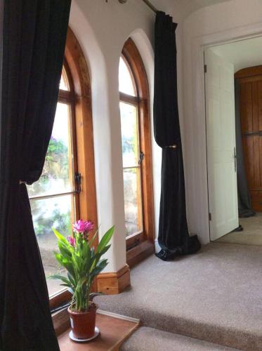 The Hideaway - a charming, unique retreat in Long Ashton, Bristol photo 12