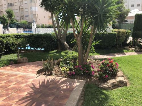 Sun & Beach Pobla tesisinin dışında bir bahçe