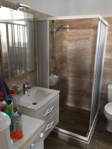 a bathroom with a shower and a sink and a toilet at TASSOS-Haus in Archangelos