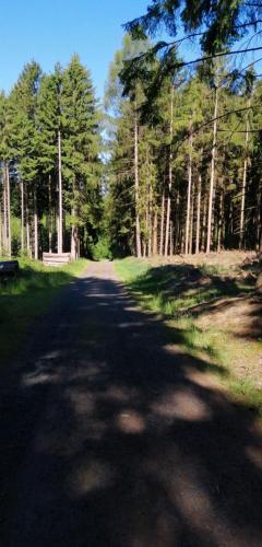 a road with trees on the side of it at Ferienwohnung-Kiefer in Hillscheid