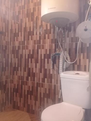 a bathroom with a toilet and a lamp on the wall at Nino & Tarzan Guesthouse in Adishi