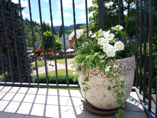 a pot of flowers sitting on a balcony at Dolce in Duszniki Zdrój