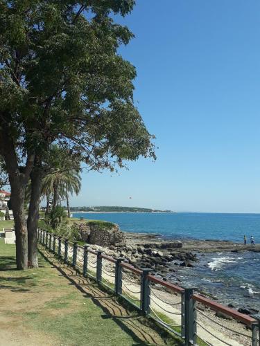 a tree next to a fence next to the ocean at Side Tuana Garden Home in Side