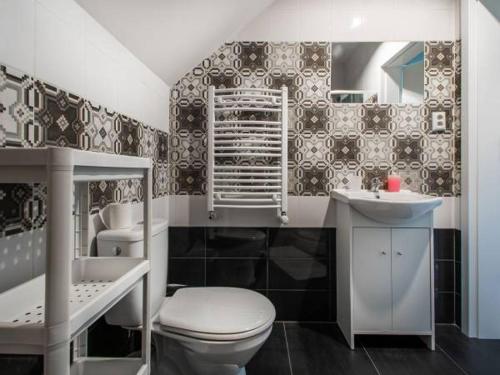 a bathroom with a toilet and a sink at Agroturystyka Jodłowa in Krajno-Zagórze