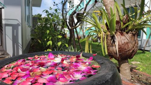 a large pot filled with pink flowers in a yard at The Tree Samui in Bophut 