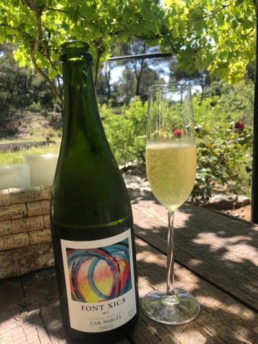 a bottle of wine and a glass on a table at CAL PUIG, ENOTURISMO RURAL entre Viñas y Bosques in Juncosa