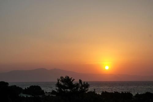 Φυσικό τοπίο κοντά σε αυτή η βίλα