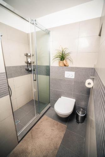 a bathroom with a toilet and a glass shower at Apartmány U Ořecha in Bořetice