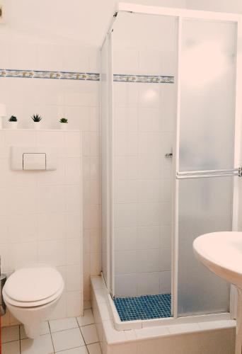 a bathroom with a shower and a toilet at Moonshine Guest House with private studios and private cottage in Lagos